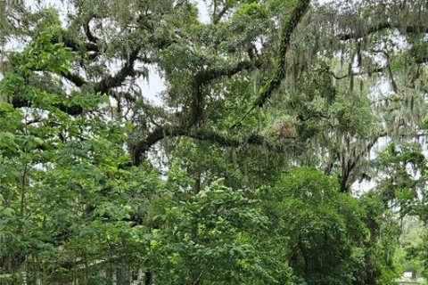 Terreno en venta en Oxford, Florida № 1810446 - foto 7