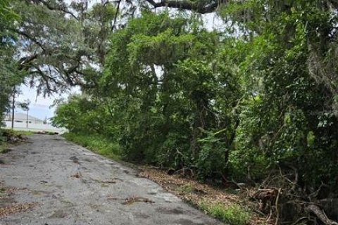 Terreno en venta en Oxford, Florida № 1810446 - foto 8
