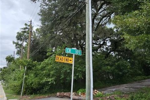 Terreno en venta en Oxford, Florida № 1810446 - foto 3