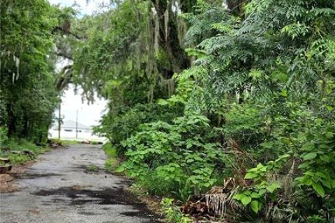 Terreno en venta en Oxford, Florida № 1810446 - foto 6
