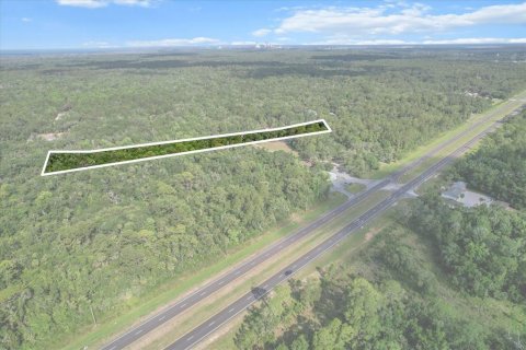 Commercial property in Crystal River, Florida 265.89 sq.m. № 1800481 - photo 4