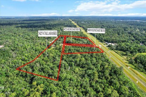 Commercial property in Crystal River, Florida 265.89 sq.m. № 1800481 - photo 2