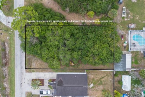 Land in New Port Richey, Florida № 886894 - photo 6