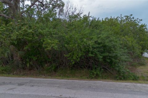Land in New Port Richey, Florida № 886894 - photo 4