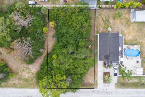 Land in New Port Richey, Florida № 886894 - photo 7