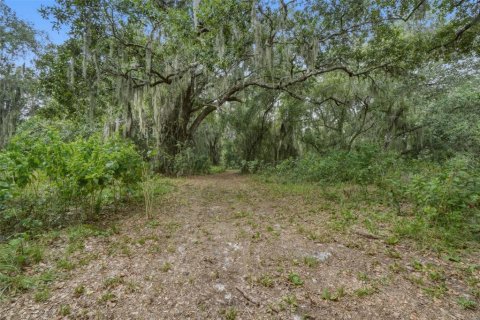 Villa ou maison à vendre à Kissimmee, Floride: 4 chambres, 275.92 m2 № 2287040 - photo 16