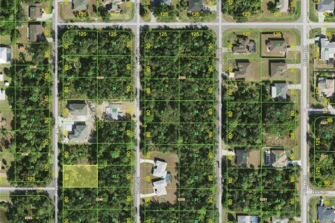 Land in Port Charlotte, Florida № 2384312 - photo 2