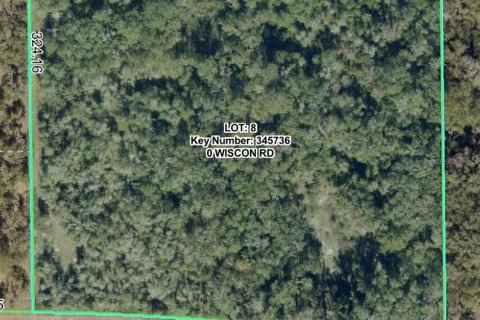 Terrain à Brooksville, Floride № 2410420