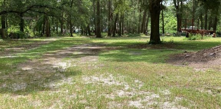 Terreno en Mount Dora, Florida № 1634006
