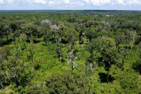 Terrain à vendre à Ocala, Floride № 2144625 - photo 2