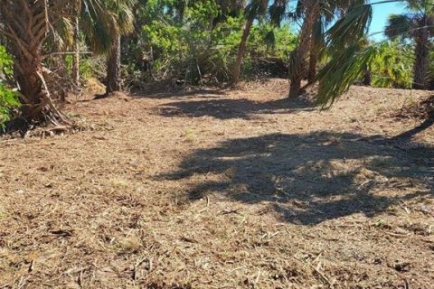 Land in North Port, Florida № 2206279 - photo 5