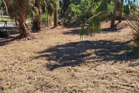 Land in North Port, Florida № 2206279 - photo 3