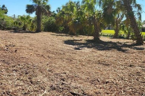Land in North Port, Florida № 2206279 - photo 2
