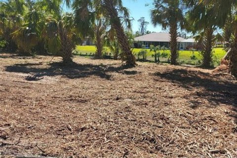 Land in North Port, Florida № 2206279 - photo 6