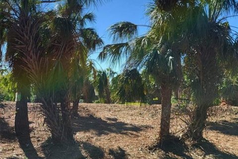 Land in North Port, Florida № 2206279 - photo 4