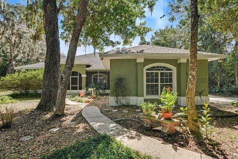 Villa ou maison à Weirsdale, Floride 3 chambres, 212.56 m2 № 2355739