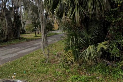 Terrain à Bunnell, Floride № 2160438