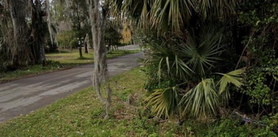 Terrain à Bunnell, Floride № 2160438