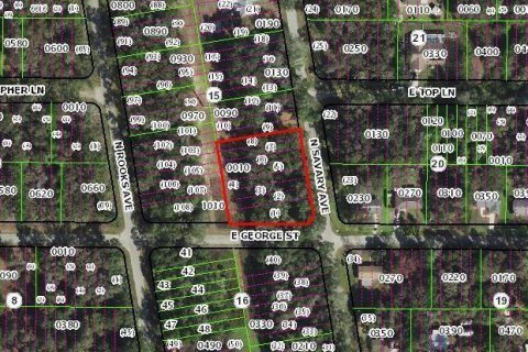 Land in Inverness, Florida № 2214660 - photo 5