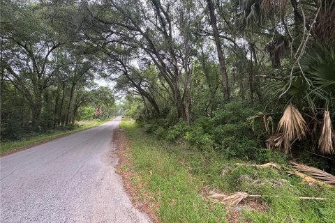 Land in Inverness, Florida № 2214660 - photo 2