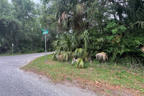 Land in Inverness, Florida № 2214660