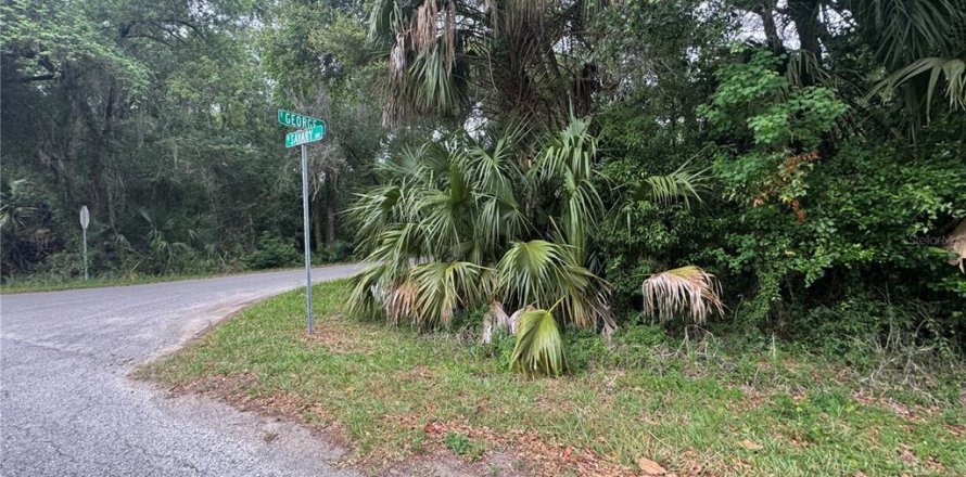 Land in Inverness, Florida № 2214660