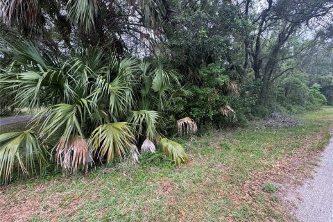 Land in Inverness, Florida № 2214660 - photo 4