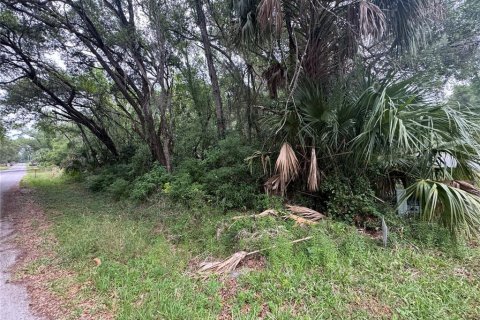 Land in Inverness, Florida № 2214660 - photo 3