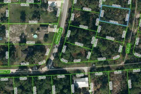 Land in Lake Placid, Florida № 2213030