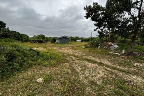Villa ou maison à vendre à Homestead, Floride: 3 chambres, 159.33 m2 № 1988047 - photo 15