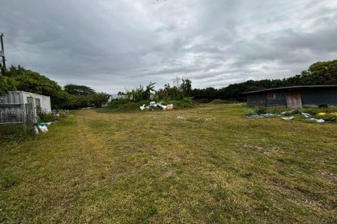 Villa ou maison à vendre à Homestead, Floride: 3 chambres, 159.33 m2 № 1988047 - photo 19