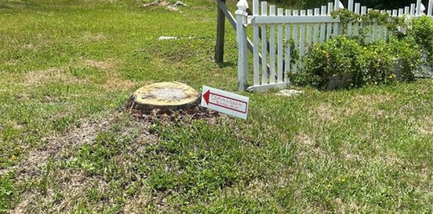 Land in Tampa, Florida № 1771531