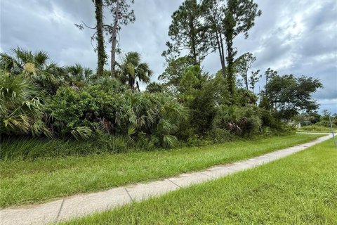 Land in North Port, Florida № 2224075 - photo 3