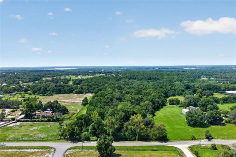 Villa ou maison à vendre à Eustis, Floride: 3 chambres, 239.13 m2 № 2238714 - photo 2