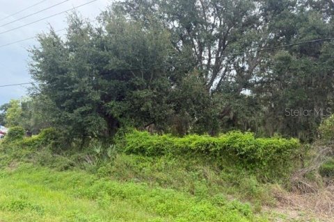 Terrain à vendre à LaBelle, Floride № 2258453 - photo 2