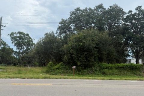 Terrain à vendre à LaBelle, Floride № 2258453 - photo 3