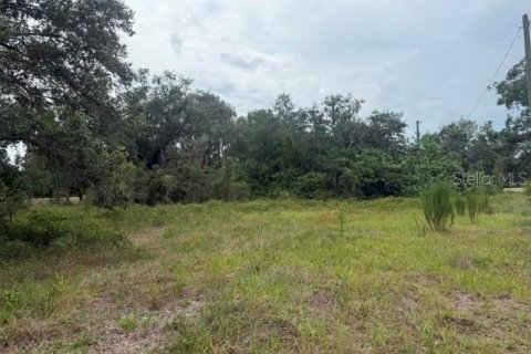 Terrain à vendre à LaBelle, Floride № 2258453 - photo 4