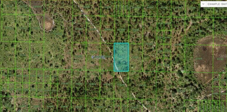 Terreno en Frostproof, Florida № 2160597