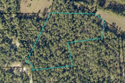 Land in Crestview, Florida № 1833269 - photo 1