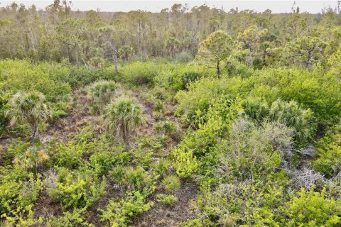 Terreno en venta en Port Charlotte, Florida № 1937786 - foto 2