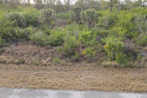 Terreno en venta en Port Charlotte, Florida № 1937786 - foto 8