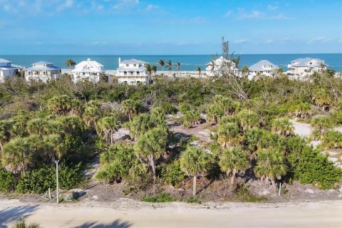 Terreno en venta en Placida, Florida № 1733226 - foto 3