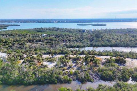 Terreno en venta en Placida, Florida № 1733226 - foto 7
