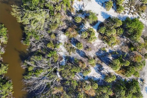 Terreno en venta en Placida, Florida № 1733226 - foto 4