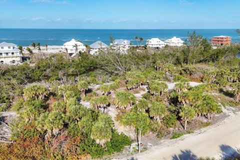 Terreno en venta en Placida, Florida № 1733226 - foto 1