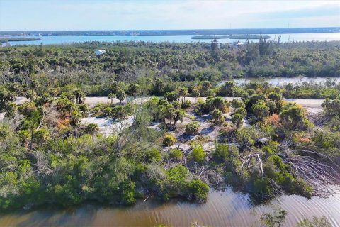 Terreno en venta en Placida, Florida № 1733226 - foto 5