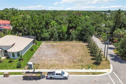 Land in Osprey, Florida № 2150563 - photo 3