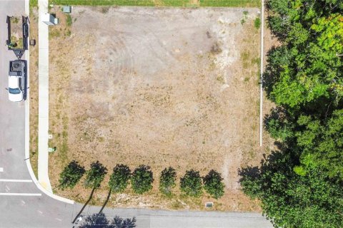Land in Osprey, Florida № 2150563 - photo 10