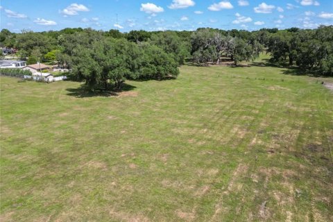 Terreno en venta en Dade City, Florida № 1805079 - foto 11