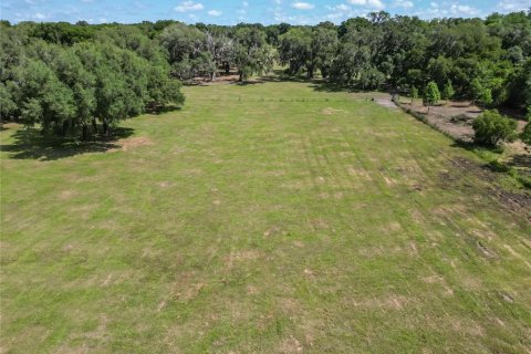 Terreno en venta en Dade City, Florida № 1805079 - foto 10